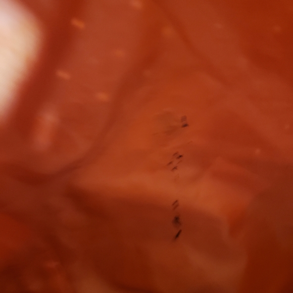 Benrus | Back Pack - Picture 13 of 13